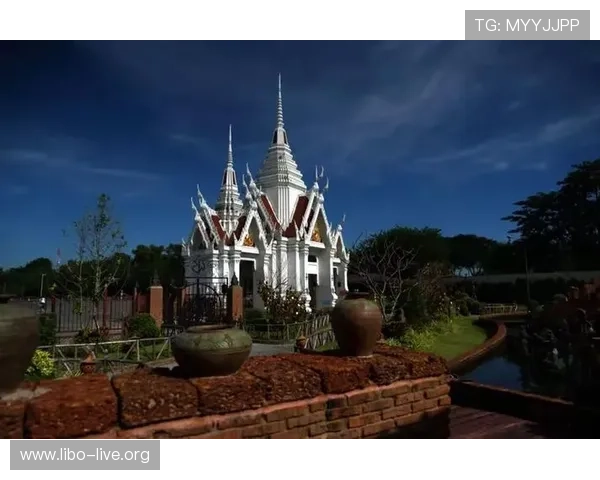 皇家真人平台有哪些提供丰富游戏种类和高额奖励的优质平台，让你玩得尽兴安心